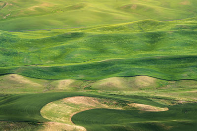 Full frame shot of golf course