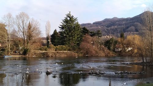 Scenic view of lake against sky