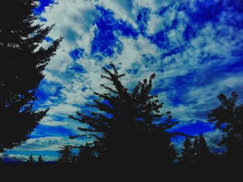 Low angle view of trees against blue sky