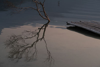 High angle view of driftwood by lake against sky