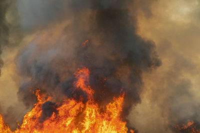 Panoramic view of bonfire