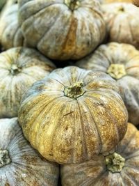 Full frame shot of pumpkins at market