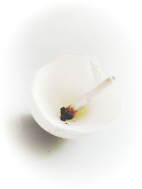 Close-up of crab over white background