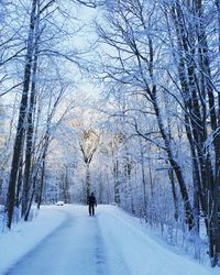 Bare trees on snow covered landscape