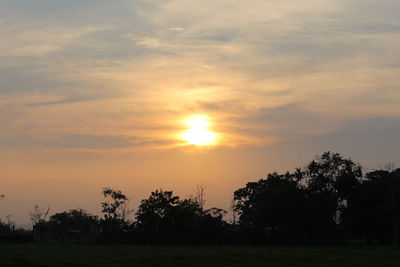 Silhouette trees on field against sky at sunset