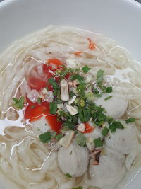 Close-up of food served in plate