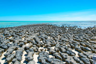 Scenic view of sea against clear blue sky