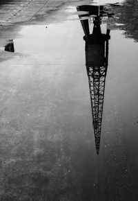 Reflection of trees in puddle