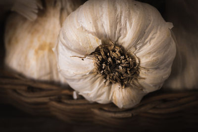 Close-up of garlic 