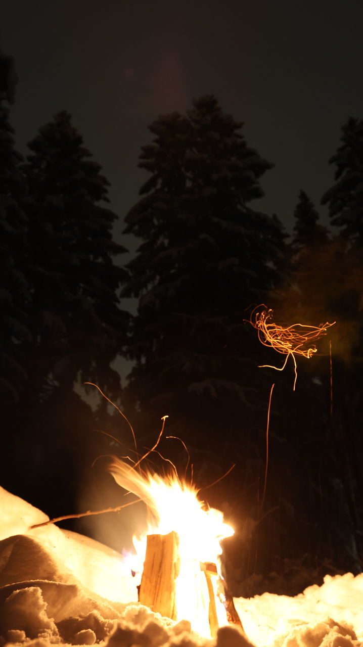 burning, fire, heat, flame, nature, bonfire, darkness, tree, night, motion, campfire, glowing, no people, orange color, outdoors, plant, warning sign, sign