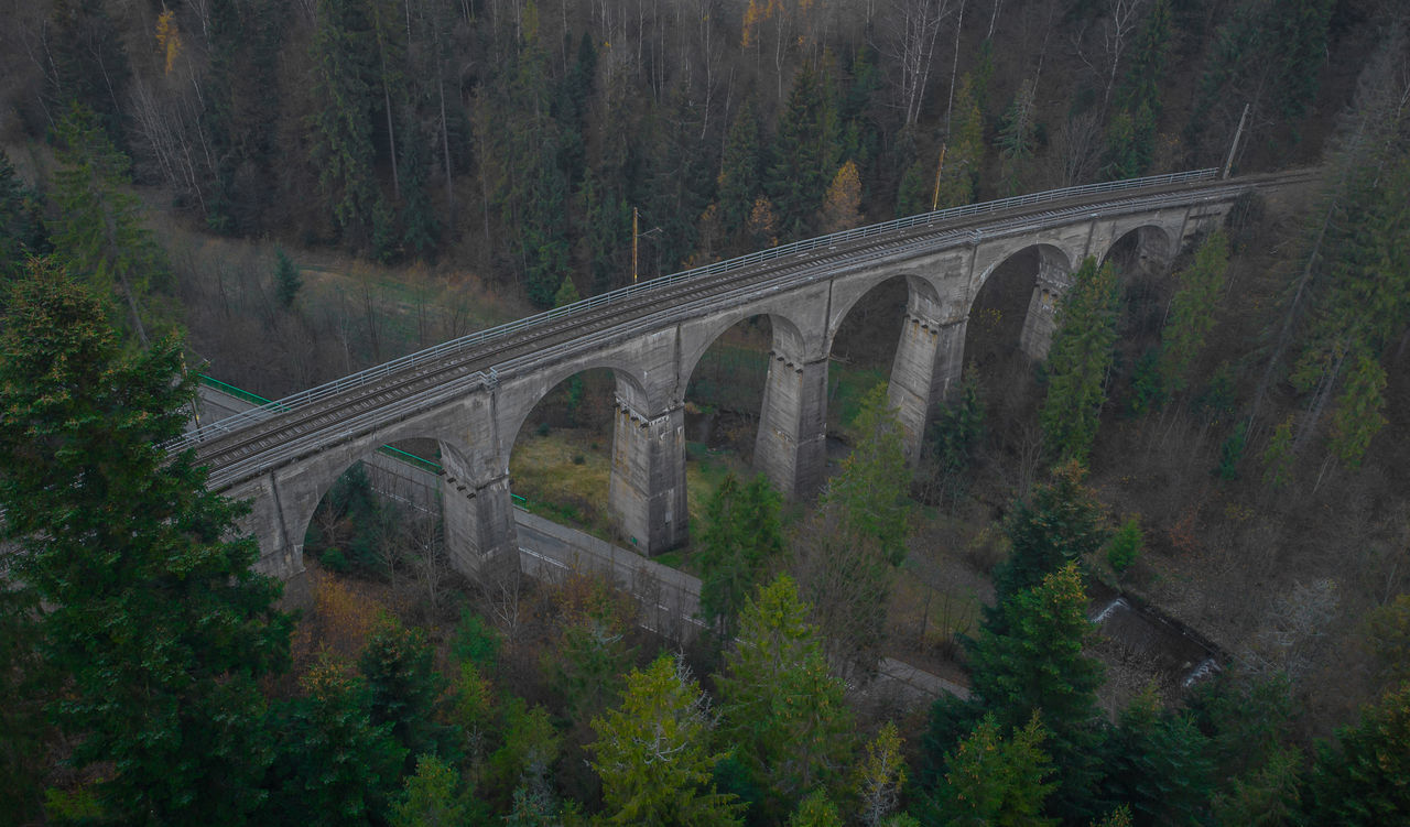 HIGH ANGLE VIEW OF BRIDGE AND TREES ON ROAD