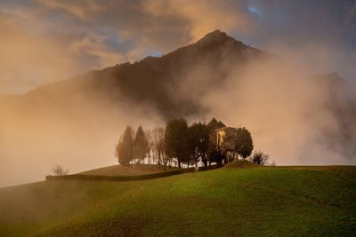 Trees on field against sky during sunset