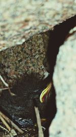 Close-up of rocks