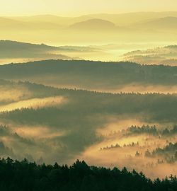 Magnificent heavy mist in landscape. autumn creamy fog in landscape. hill increased from thick fog.