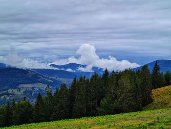 Scenic view of landscape against sky