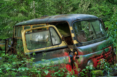 Abandoned car in forest