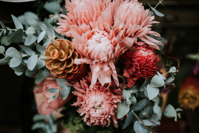 Close-up of wilted flower plant