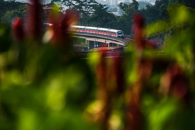 Close-up of bridge over river