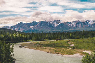 Denali national park, alsaka, nature, landscape, wilderness