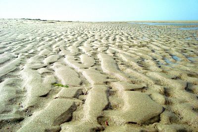 Scenic view of landscape