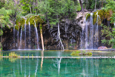 Scenic view of waterfall in forest