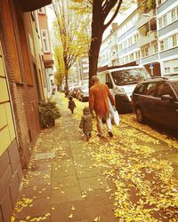 View of a dog in street