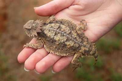 Close-up of person holding hand