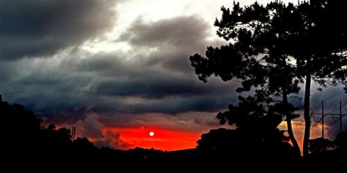 Low angle view of silhouette trees against sky during sunset