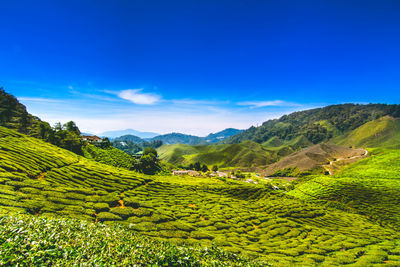 Scenic view of landscape against cloudy sky