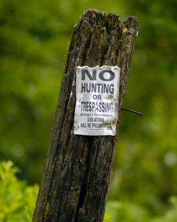 Information sign on tree trunk