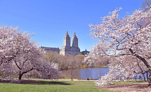 View of buildings against clear blue sky