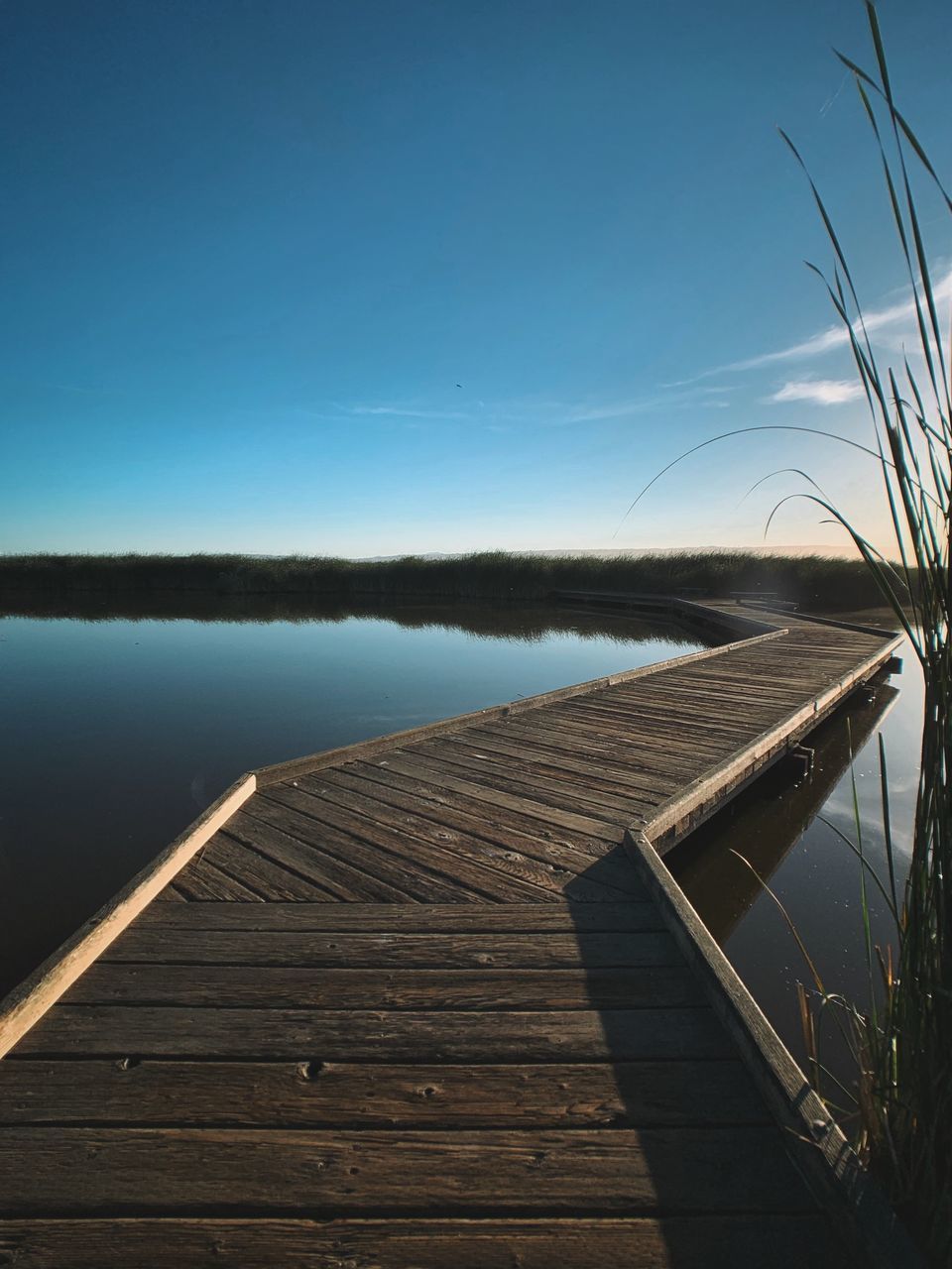 water, lake, wood - material, sky, tranquility, pier, nature, beauty in nature, no people, tranquil scene, jetty, scenics - nature, the way forward, non-urban scene, day, blue, direction, outdoors, plant, wood paneling