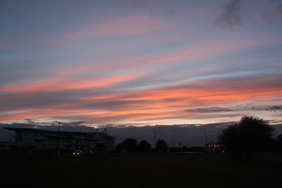 Silhouette of trees at sunset