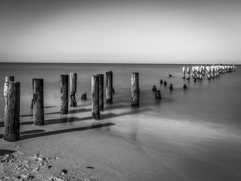 Wooden posts in the sea
