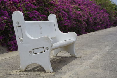 View of empty bench in park