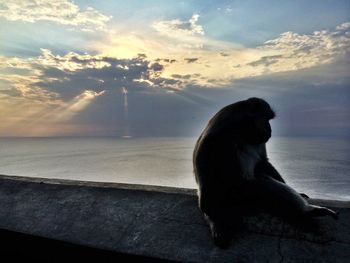 Scenic view of sea at sunset