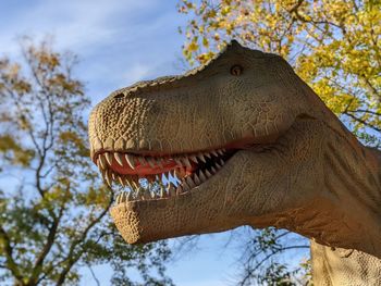 dinosaur