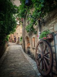 Street amidst old building and trees in city