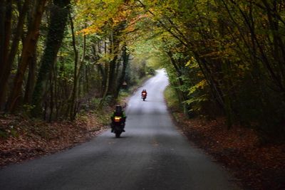 Man on motorbike on road amidst trees in forest