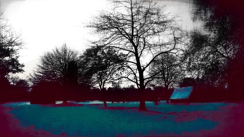 Bare trees against sky