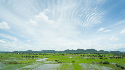 Scenic view of agricultural field against sky