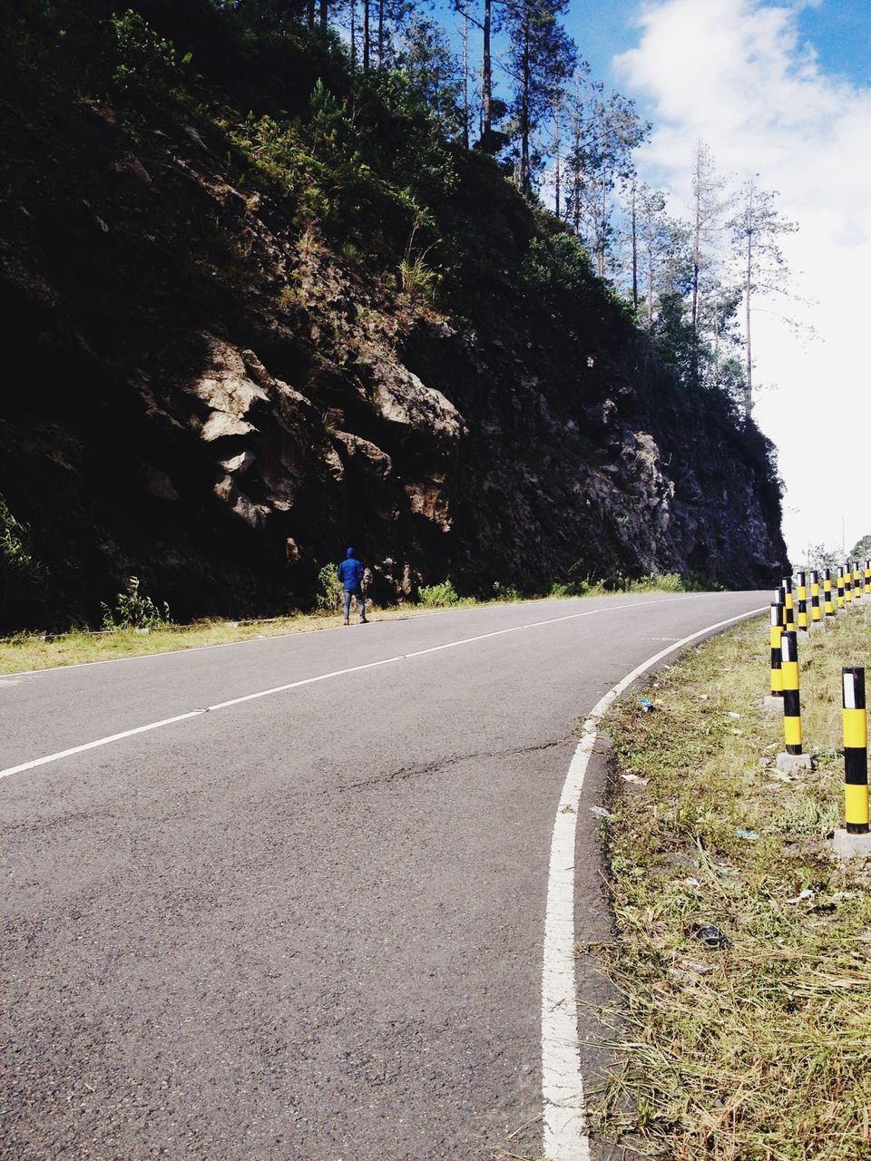 transportation, the way forward, road, road marking, tree, diminishing perspective, sky, vanishing point, street, asphalt, empty road, sunlight, day, outdoors, country road, empty, no people, cloud - sky, long, double yellow line