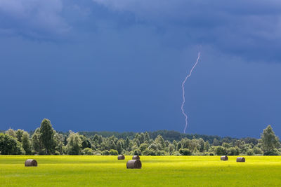 Scenic view of field against sky