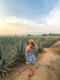 Rear view of woman standing on land against sky