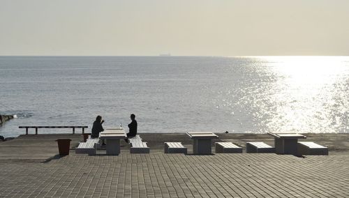 Rear view of couple standing at sea shore against clear sky