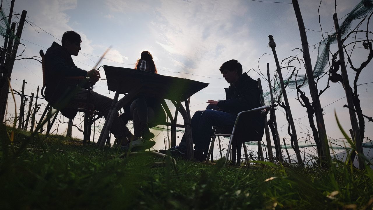 real people, leisure activity, men, music, playing, togetherness, silhouette, sitting, sky, full length, outdoors, standing, musician, musical instrument, friendship, lifestyles, day, nature, grass, people