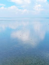 Flock of birds in sea against sky