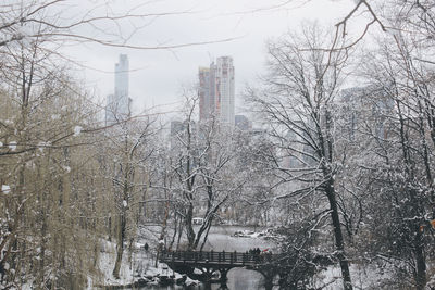 Bare trees by buildings against sky during winter