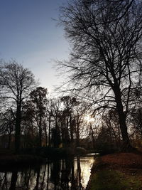 Silhouette trees by lake against sky during sunset