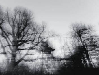 Bare trees against clear sky